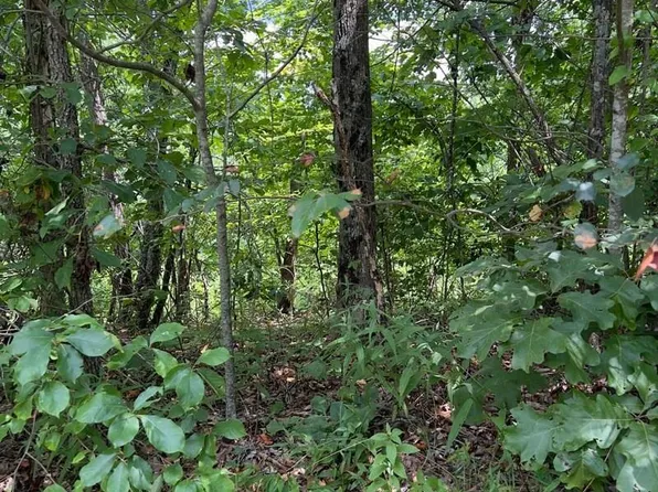 Mountain Lookout Dr #78, Bostic, NC 28018