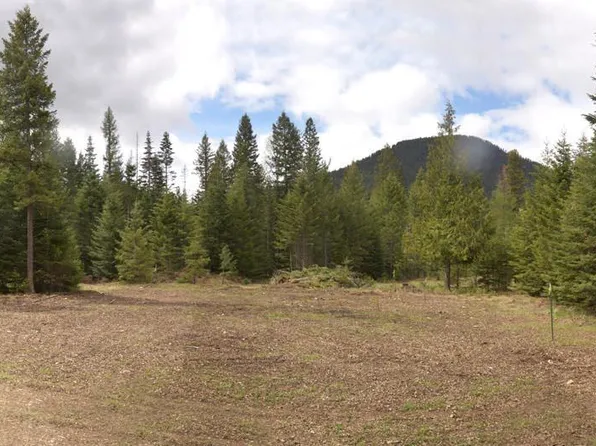 6599 River Rd, Clark Fork, ID 83811