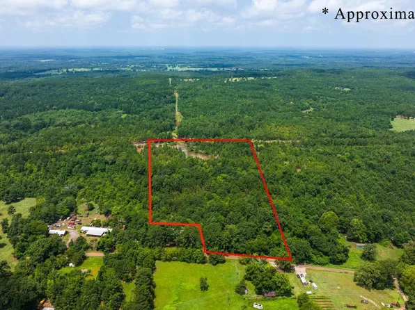 County Road 1103 Holt Rd, Daingerfield, TX 75638