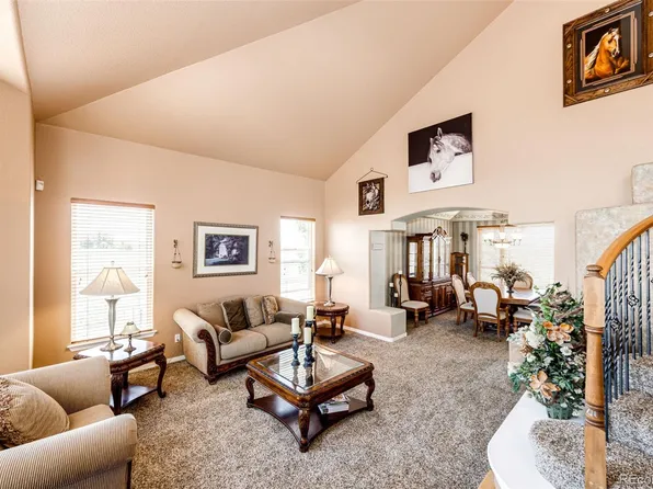 3551 S Lookout Hill Street Street, Watkins, CO 80137