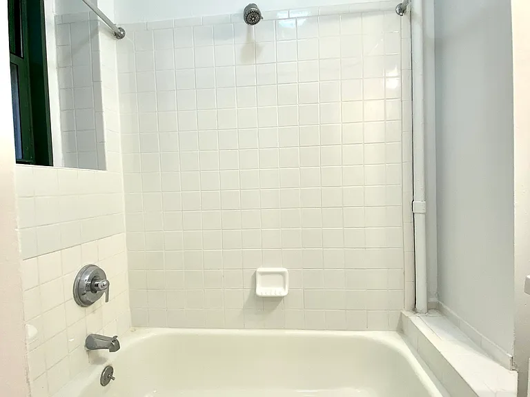 536 E 79th St #1I — Photo 9