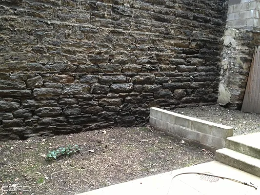 Rented by Point NYC | media 22