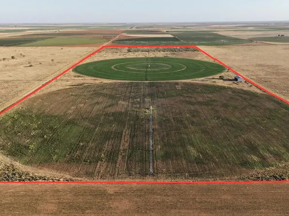 County Road 181, Brownfield, TX 79316