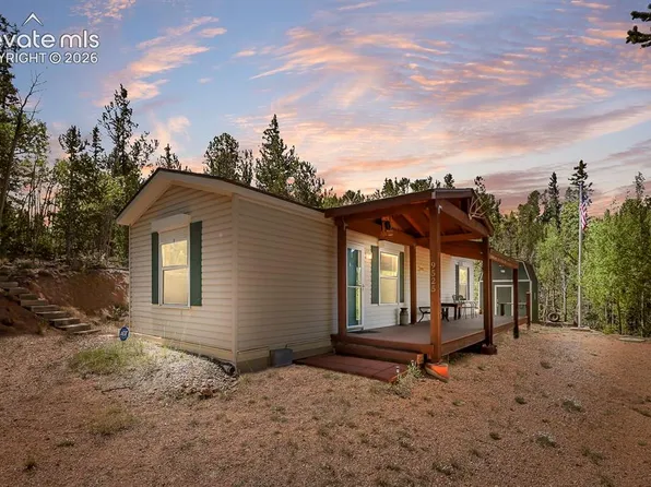 9525 High Rd #67, Divide, CO 80814