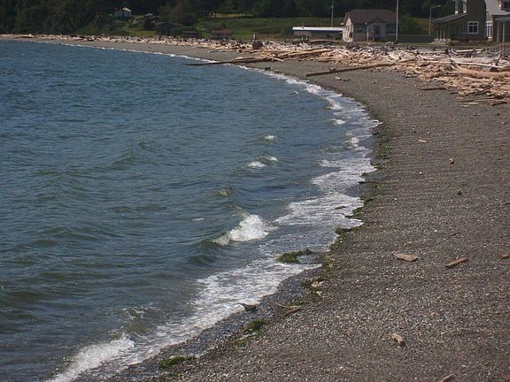 2nd image of 343 Moana Dr