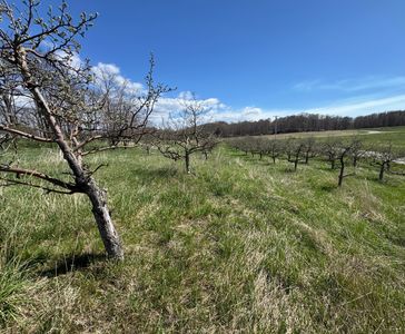 0 Pinot Point LOT 17, Manistee, MI, 49660