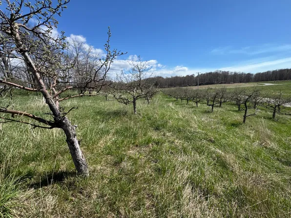 0 Pinot Point Lot 17, Manistee, MI 49660