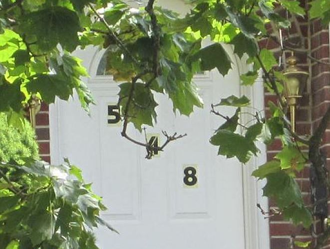 2nd image of 544 E Juniata St
