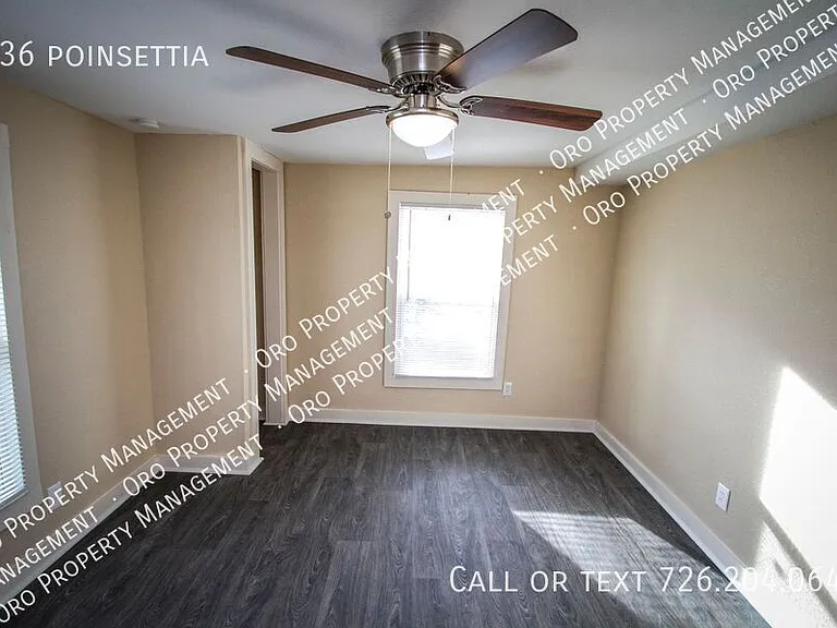 936 Poinsettia — Photo 23