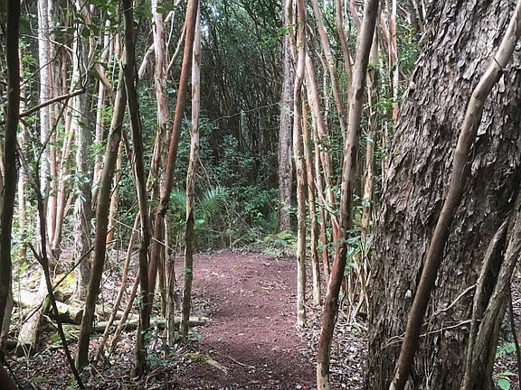 3rd image of Lanai St Lot 606