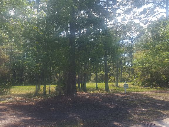 3rd image of 2931 Pine Valley Dr