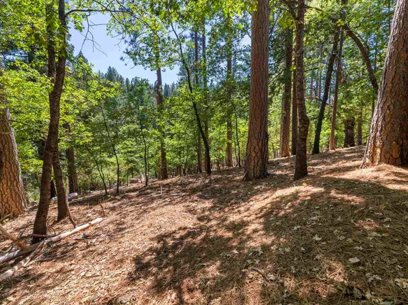 16640 W Brookside Dr, Sonora, CA 95370