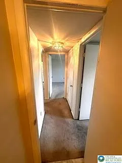 2641 Rolling Green Dr — Photo 10