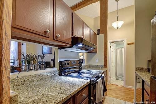 3rd image of 222 Williams St E APT 425