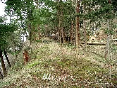 1 Raccoon Point Road photo 1