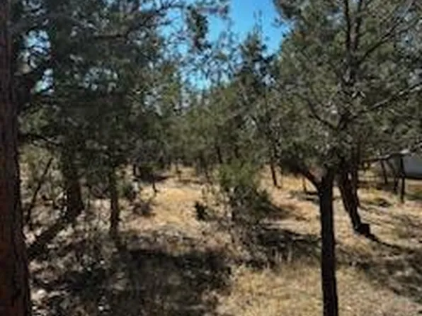 5315 Buffalo Trl, Lakeside, AZ 85929