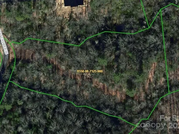 84 Peppervine Cir, Brevard, NC 28712