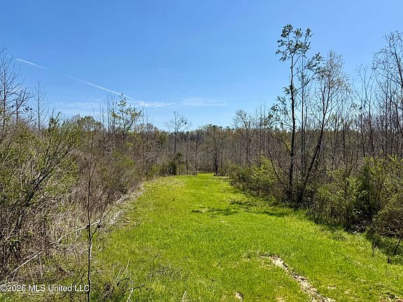 2nd image of Brozville Rd