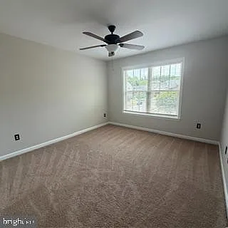 100 Sand Dollar Cv — Photo 21