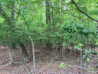 3rd image of LOT 708 Kismet Ct