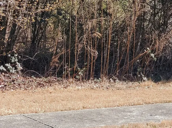 3452 Tiffany Cove Dr, Loganville, GA 30052