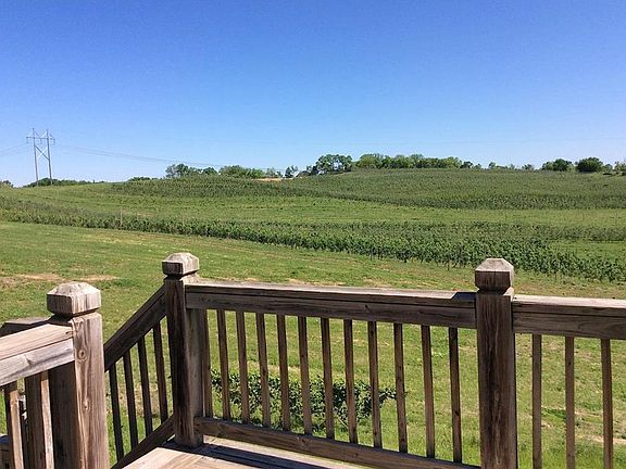 Backyard view into new Weston Orchard and Vineyard.