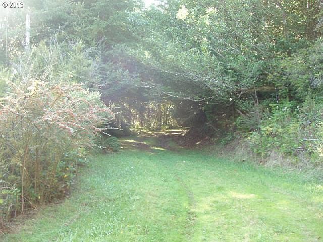 2nd image of Green Dolphin Way