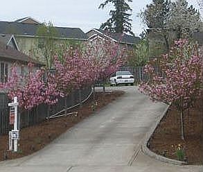 Driveway