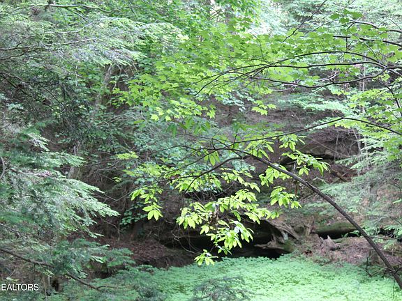 5th image of 232 Wright Cemetery Rd