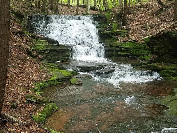 2nd image of 289 Cochecton Tpke
