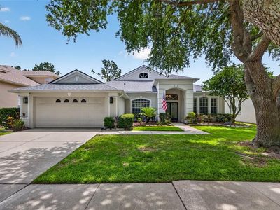 18127 Heron Walk Dr, Tampa, FL, 33647