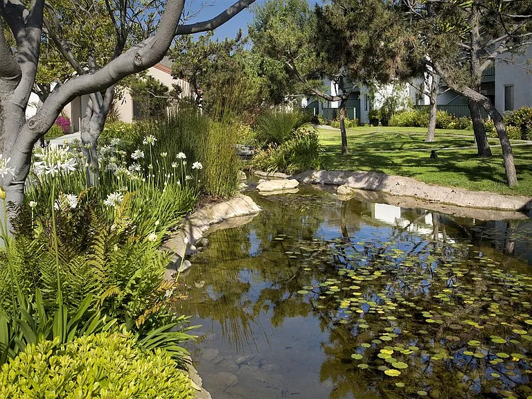 Pacific Oaks — Photo 23