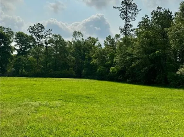 29898 Cousins Rd, Albany, LA 70711