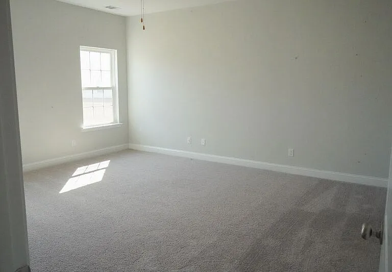25 Sago Palm Way — Photo 18