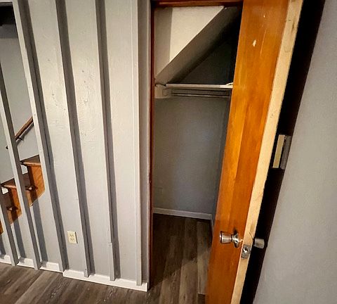 Closet Under Stairs