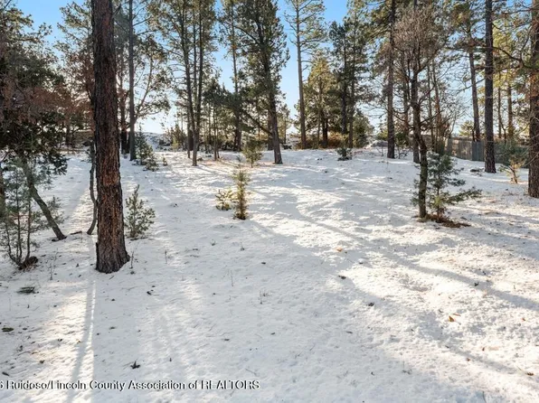215 Midiron Dr, Alto, NM 88312