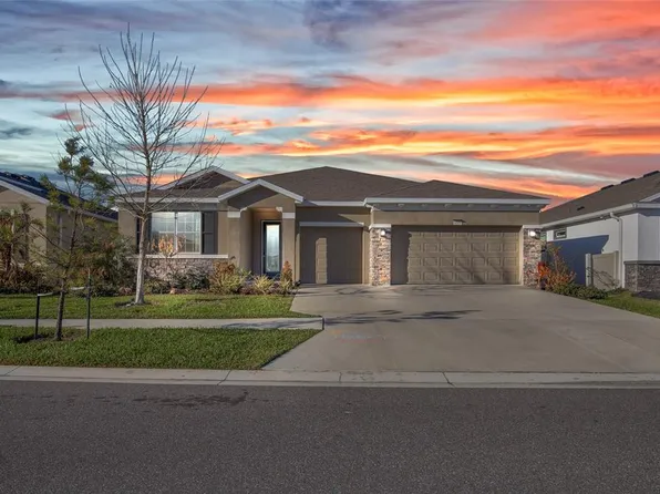 32289 Conchshell Sail St, Wesley Chapel, FL 33545