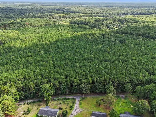 TBD Rustwood Dr., Georgetown, SC 29440