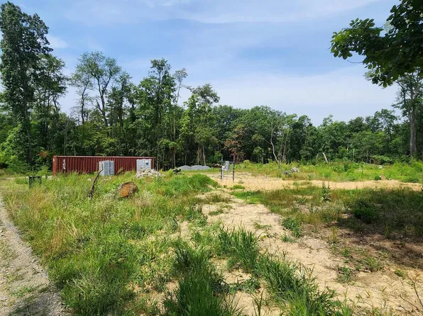 White Pine Ln, Capon Bridge, WV 26711