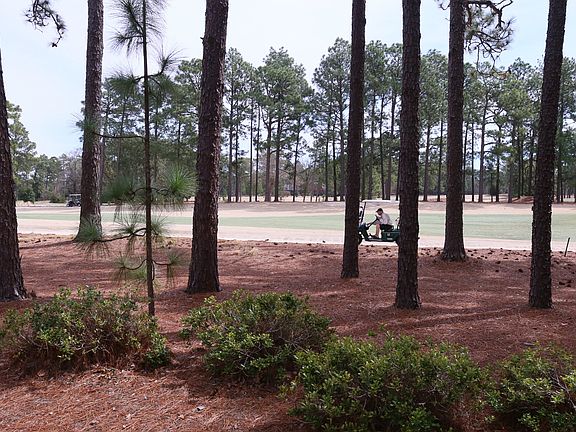Golf Views