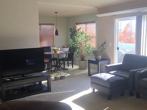 Sunny Living Room