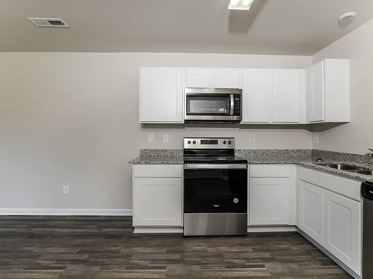 1433 Centipede Dr — Photo 5