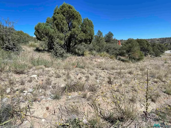 Xx Angus Dr, Silver City, NM 88061