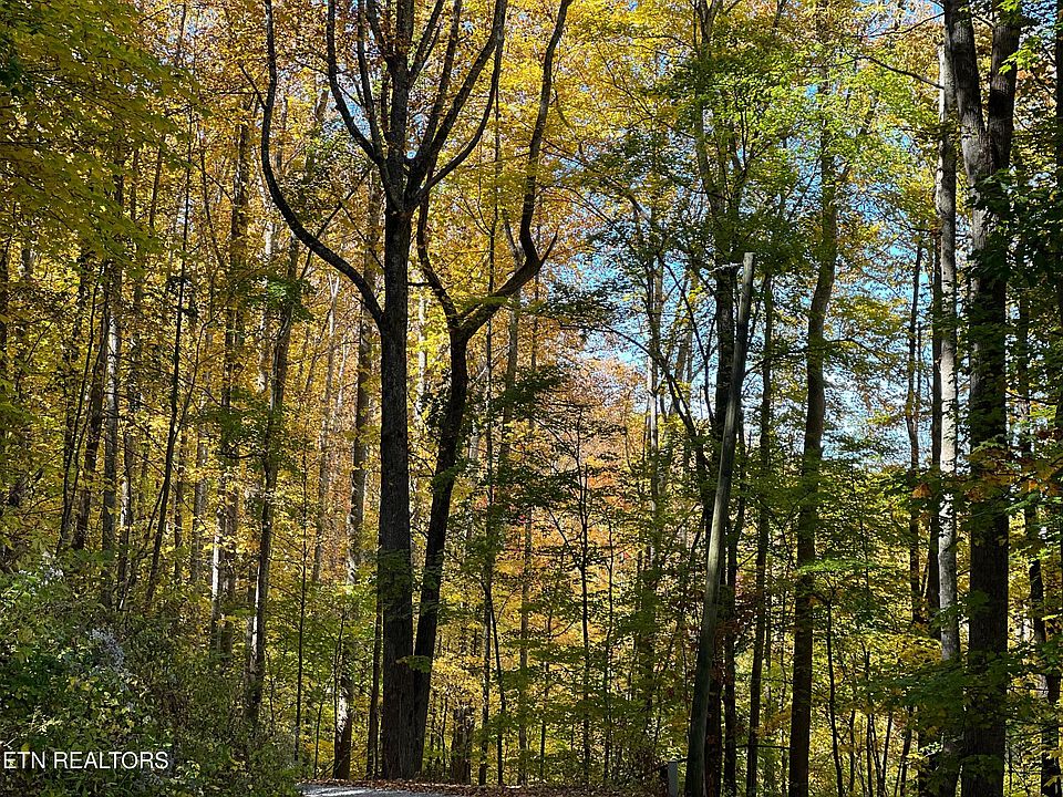 1st image of Emilyville Way