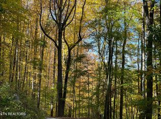 Emilyville Way, Cosby, TN 37722