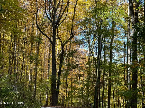 Emilyville Way, Cosby, TN 37722