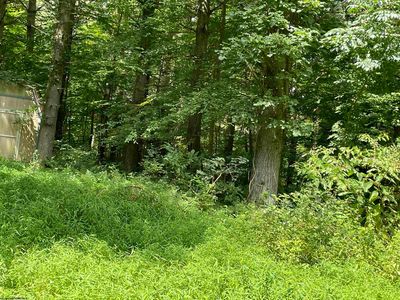 Dogwood St, Bruceton Mills, WV, 26525