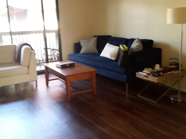 1106 Locust Ave #209 — Photo 4