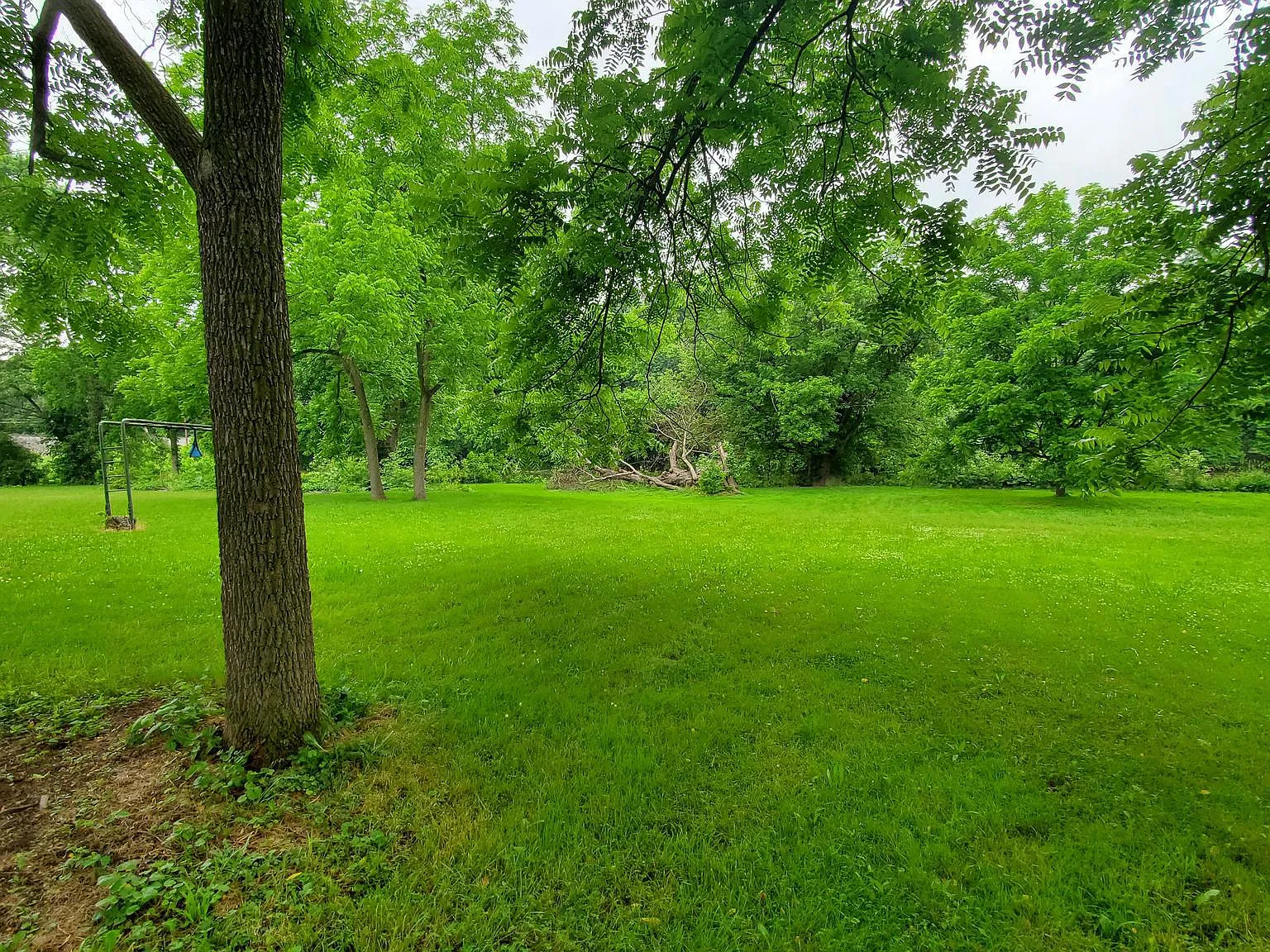 3 bed, 1.0 bath, 1000 sqft, $1,500 — Photo 2