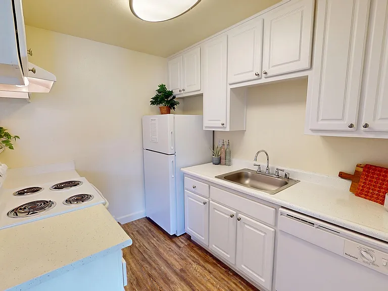 Shared Kitchen Shared Kitchen